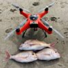 Swellpro SD4 Basic model w/ Payload Release - Fisherman Bundle! Refurbished (INCL. EXTRA Battery & Propellers) - Image 2