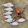 Swellpro FD1 Fisherman Electronic Mechanical Release model - Refurbished - Image 2